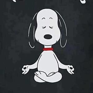 Meet your Posher, Mireya